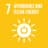 SDG 7